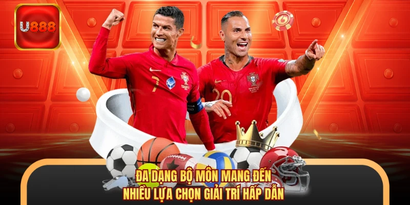 Đa dạng bộ môn mang đến nhiều lựa chọn giải trí hấp dẫn