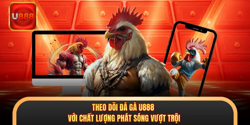 Theo dõi đá gà U888 với chất lượng phát sóng vượt trội